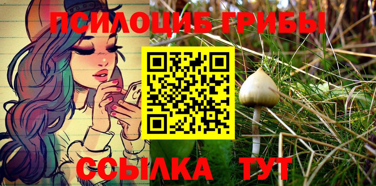 Псилоцибиновые грибы MAGIC MUSHROOMS Шатура