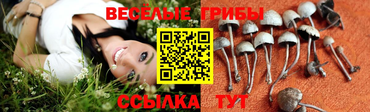 Галлюциногенные грибы MAGIC MUSHROOMS  Вход с VPN  Шатура 